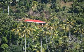 Mango Lodge Villa